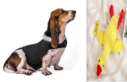 Anxiety Jacket Vest Summer Medical Treatment To Calm Down Cat Clothes Dog Comfort Clothes